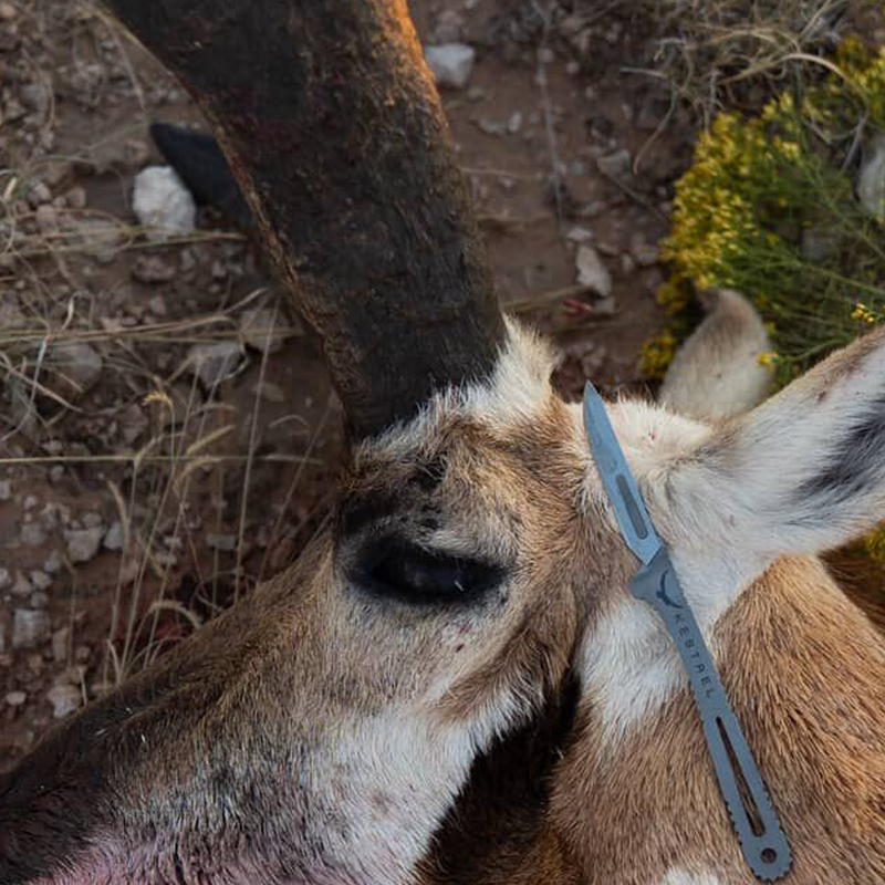 Photo of Chad Ryker, Out of State Hunter