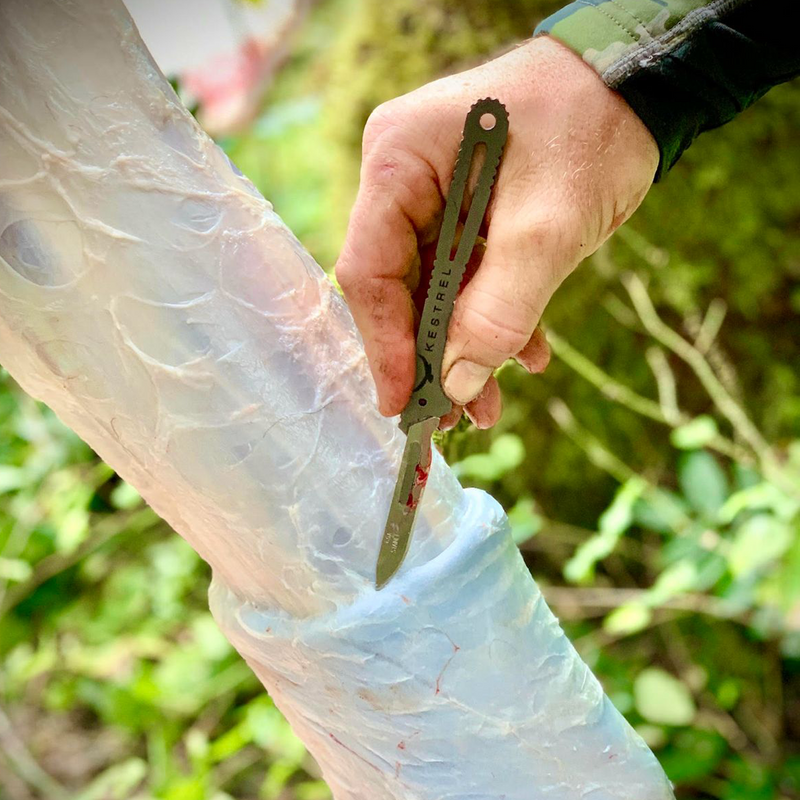 Photo of Darren Hill