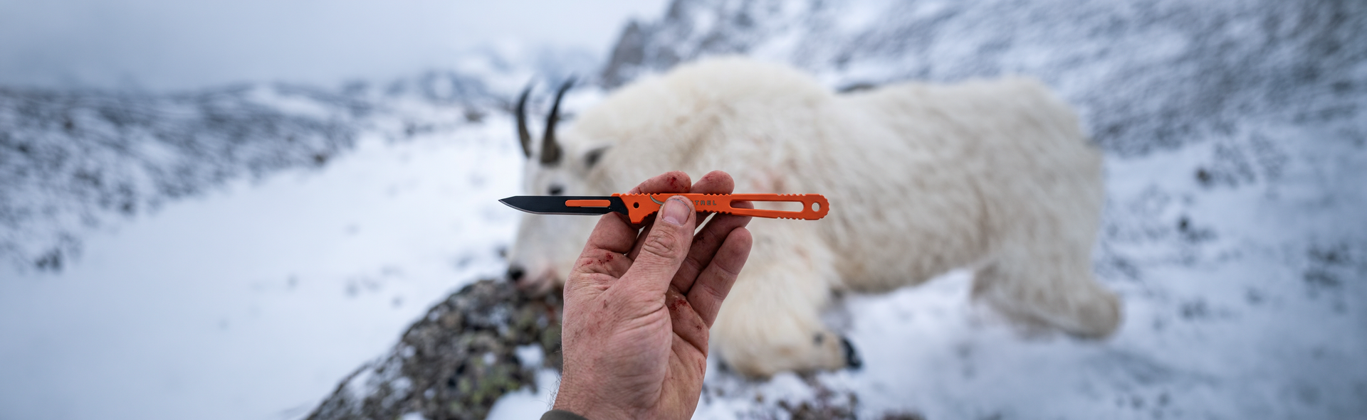Mountain Scalpel