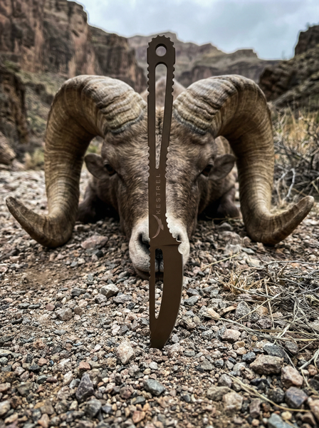 Front design picture