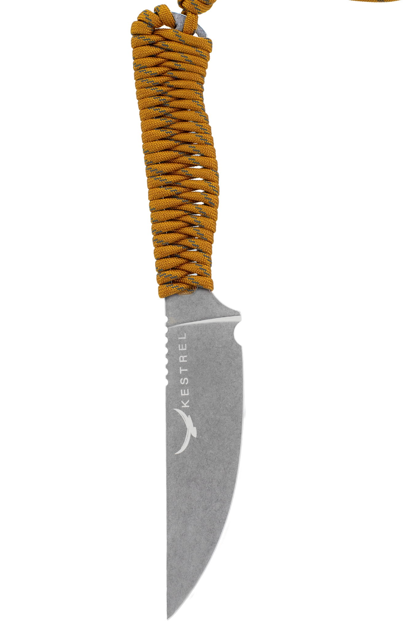 Ovis Skeleton 2.0
