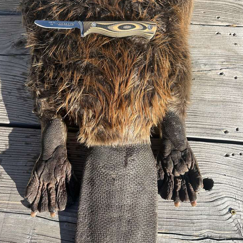 Photo of Ruben Urrutia - Lost Trail Outfitters