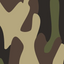 Earth Camo